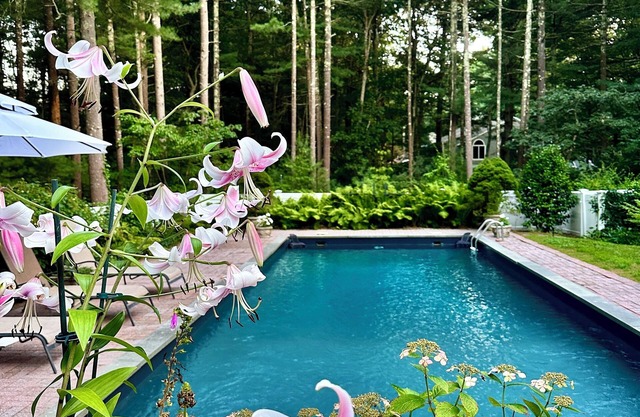 The Lady's Slipper in East Hampton