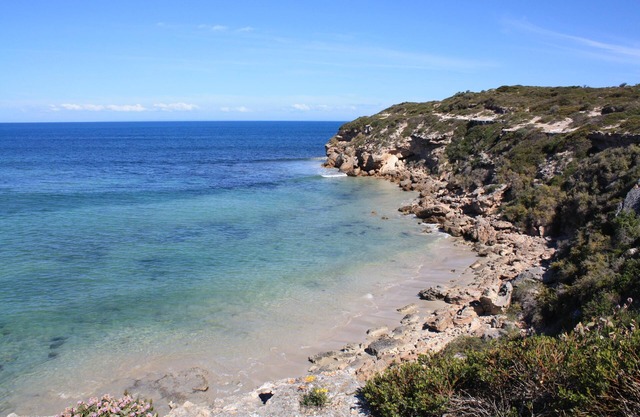 The Lookout - One Of The Best Ocean Views in Town