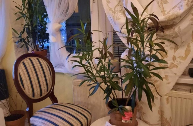 The Place to be City Center Appartements
