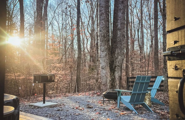 The Premier Mini Modern Cabin is a perfect romantic retreat for two or a peaceful self-indulgent getaway for the one and only you! A luxury suite designed for no more than two. inside you'll find love is in the air with our sleek designs and