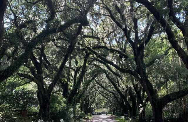 The Riverland Loft in Charleston, SC
