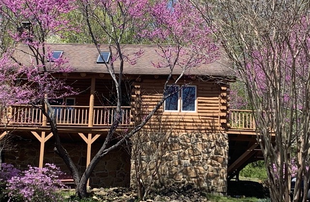 The Stream Song Cabin