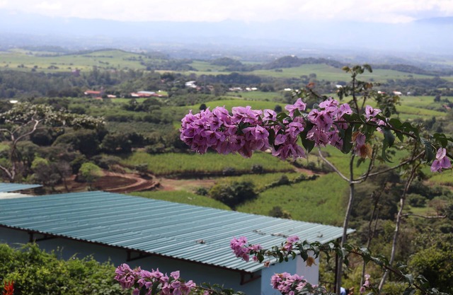 The Toucan - Cozy Mountain Cabin, Stunning Views, Private & Quiet in Costa Rica