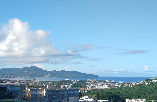 The View G