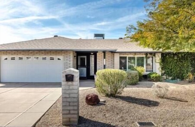 The Walcott Tempe - Private Pool, Park, Pool Table