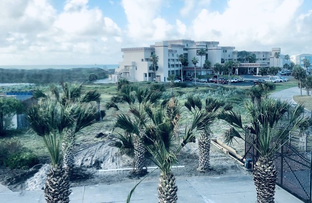 Tickled pink home with an ocean view
