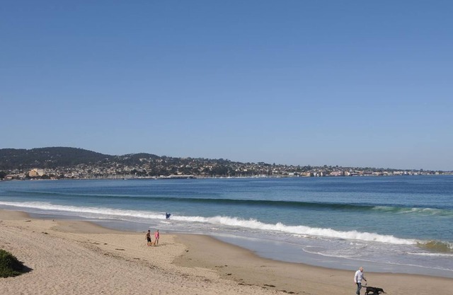 Tides In - Monterey Beach House - Oceanfront, Walk to Fisherman's Wharf