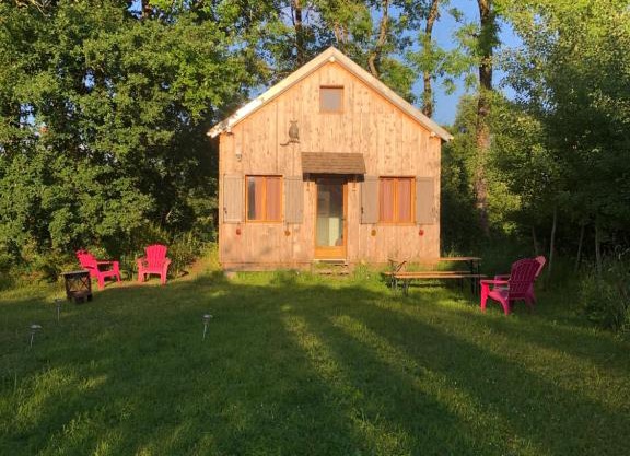 Tiny-House sous les arbres et les oiseaux