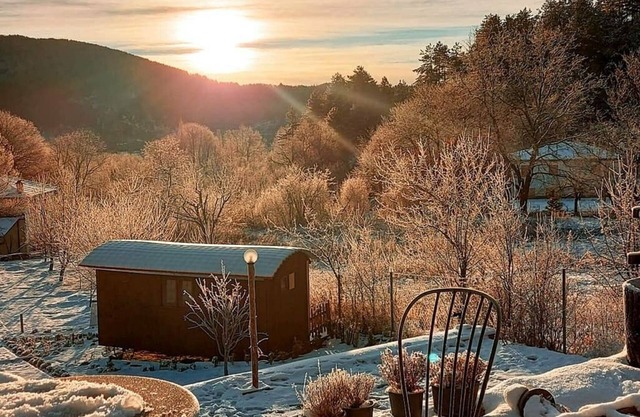Torrhebia Dag Evi
