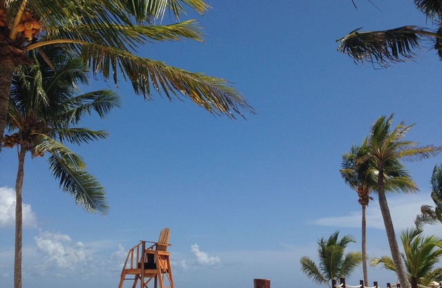 Tortuga Riendo-Nick Price Residences, Unit A303