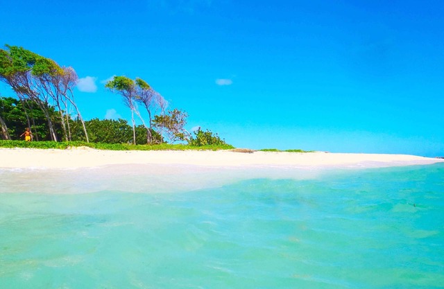 TOURISTIC FURNISHED (T2) IN PEACE, NEAR THE MOST BEAUTIFUL BEACH OF THE ISLAND