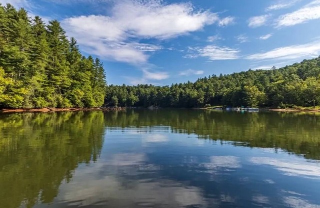 Treehouse on the Lake! Direct Lakefront Home with Private Dock on Lake Glenville