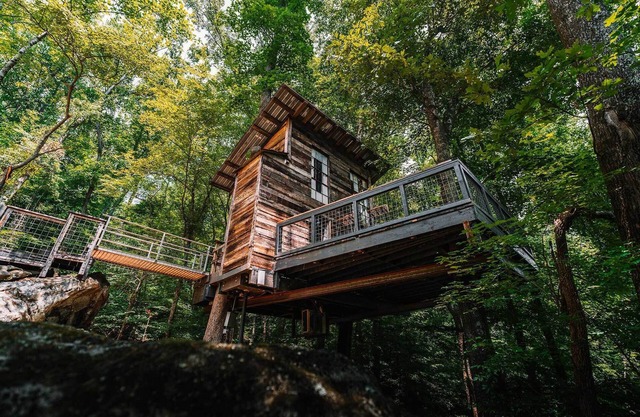 Treetop Hideaways: Luna Loft Treehouse
