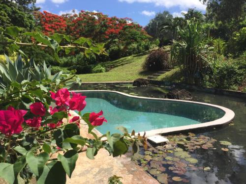 TropicAngel ECOLODGE de Charme