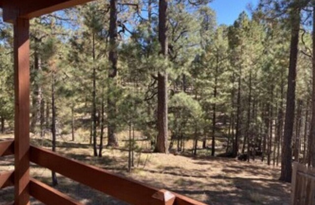 Trout Springs Cabin #2