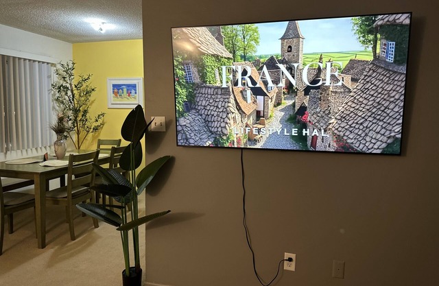 Two bedroom apartment with a huge TV