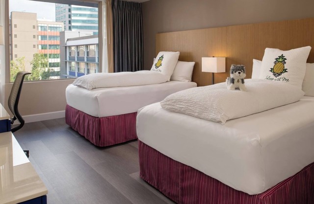 Two Restful Downtown Portland Rooms | Pets are Allowed
