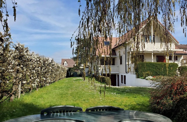 Two rooms 45m2, cool, calm, close to everything