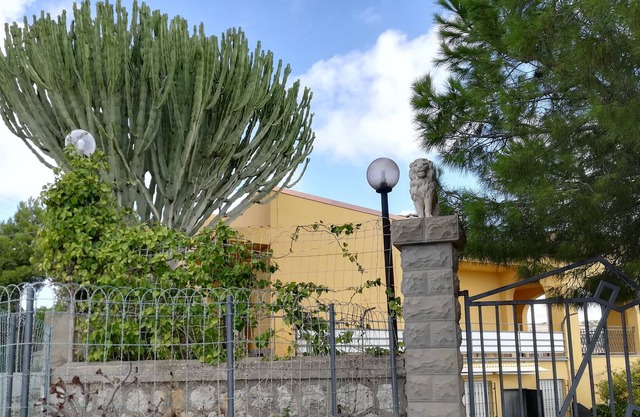 Typical Sicilian country house surrounded by olive trees and vineyards