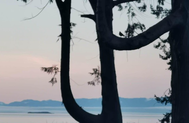 U18 Seaside Serenity: Seal Bay Glamping Retreat