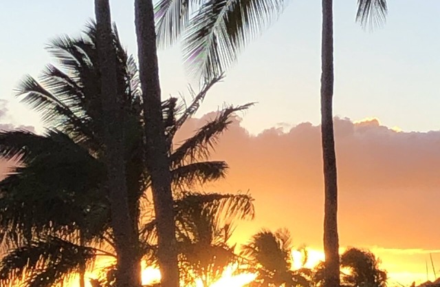 Updated-5 Beds-Downstairs Corner-A/C-3 Pools-6 Minutes to Beaches-Beach Cart
