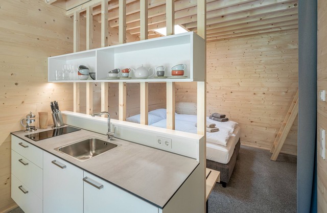 Vacation apartment/apartment for 4 guests with 29m² in Dornbirn (265879)