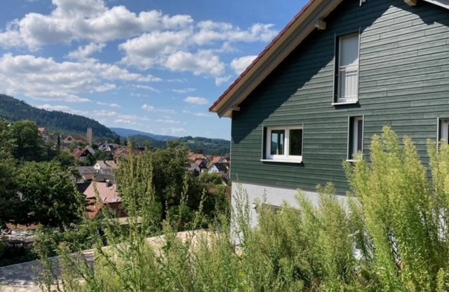 Vacation apartment Dachs, 42 sqm, 1 bedroom, terrace, max. 2 persons