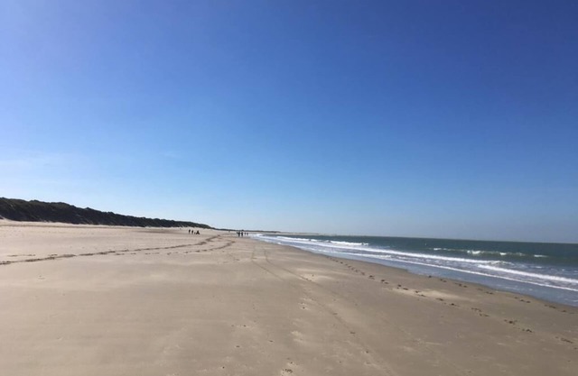Vacation home in Holland Zeeland Bruinisse by the sea dog fenced