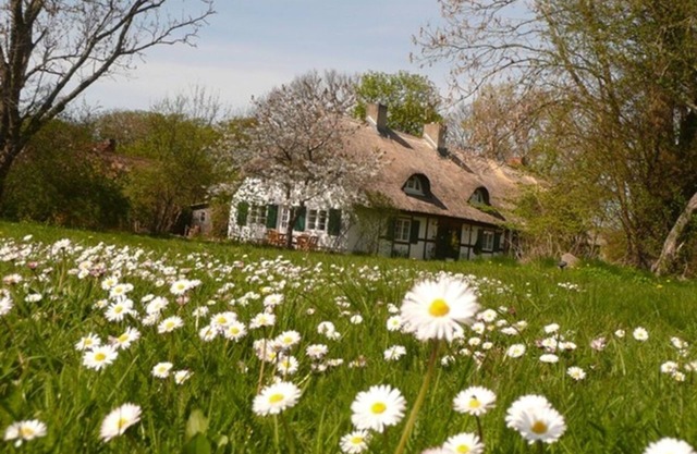 Vacation home Reethaus Rosengarten and yurt opposite Hiddensee on large property