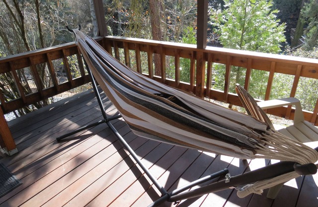 Vacation in the pine forest