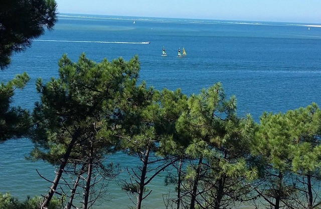 Vacations near Arcachon in nice new house * - French property