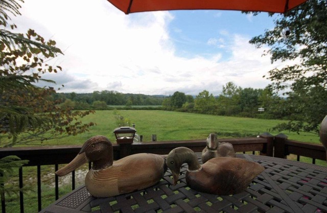 Vaquero on French Broad River valley near Brevard, one level, Dogs OK, free Biltmore Pass