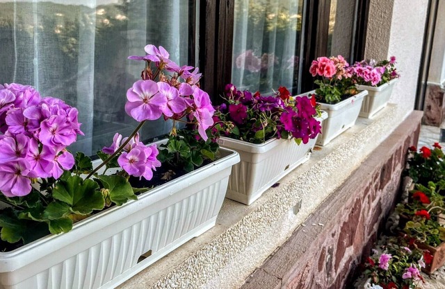 Varna home with a view
