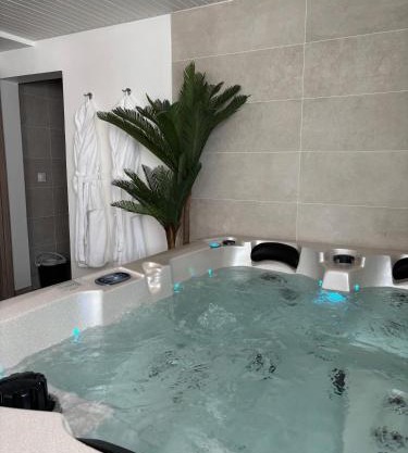 VENUS LOCATION - Loft climatisé avec Spa
