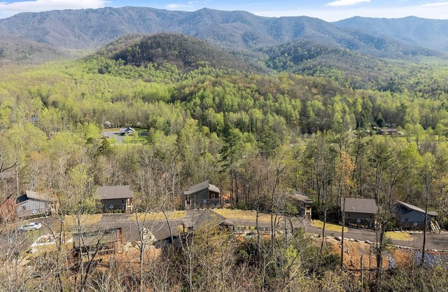 View & Hot Tub + Kitchen #2 | 24 Min to Gatlinburg