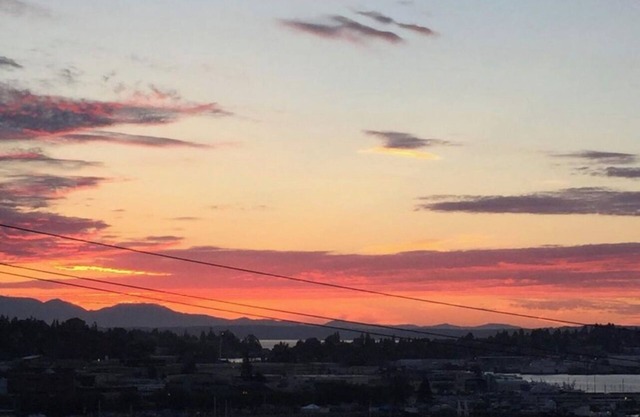 View Queen Anne Townhouse Close to Seattle's Most Popular Attractions