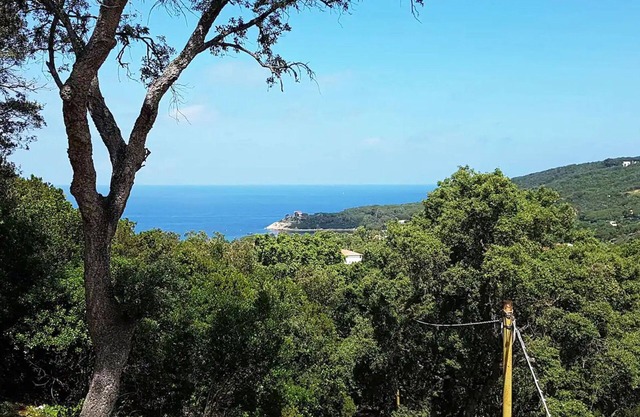 Villa ai Pini - Procchio - Villa ai Pini - Procchio - Trilocale