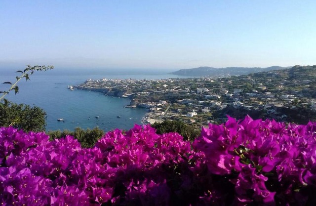 Villa Andrea