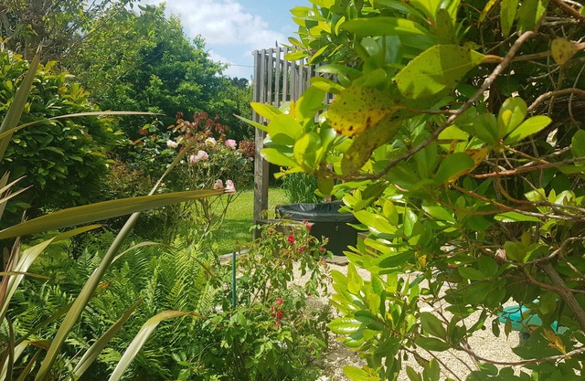 Villa Bambou, a green setting in the heart of the city