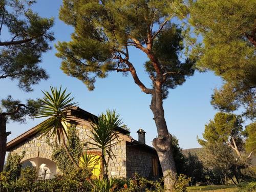 Villa Fior di Lavanda