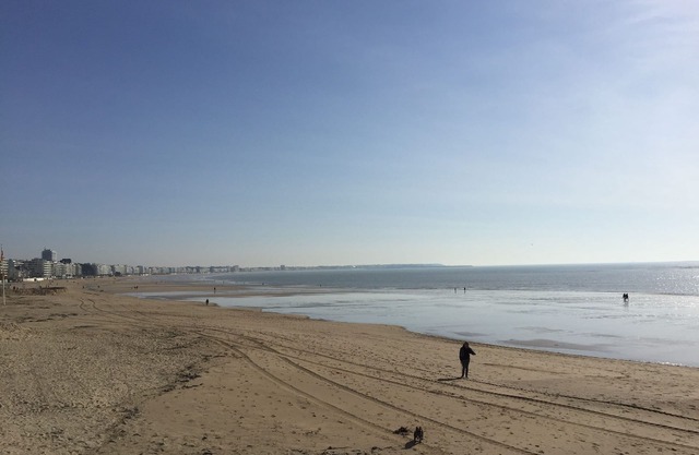 Villa La Baule 10 pers 5 ch 3sdb 4wc 200m from the sea Plage Benoit et commerces