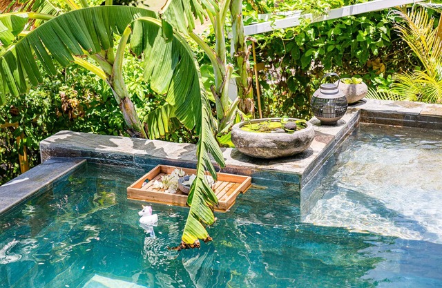Villa Niaouli zen atmosphere and lush nature