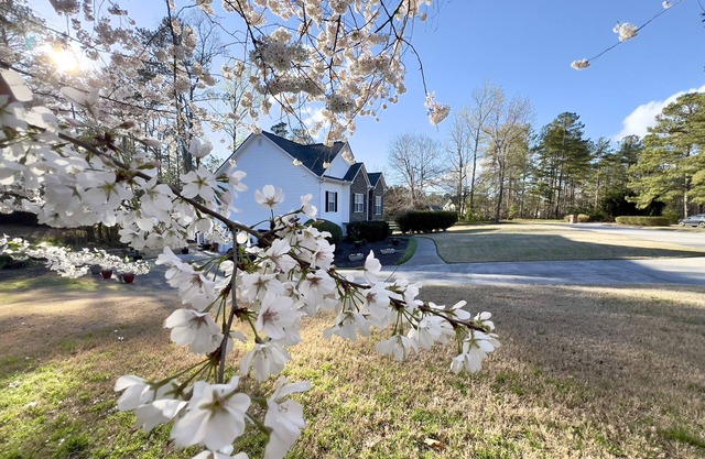 Villa Rica Suburbs – Minutes Away from Six Flags Over Georgia!