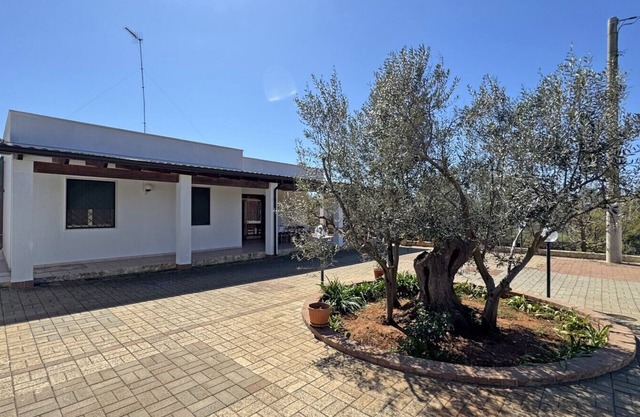 Villa Ulivo, sleeps 7, garden close to the sea