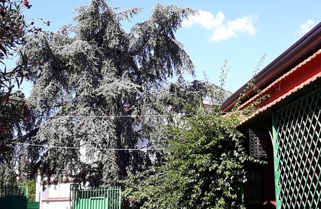 Villa Vitiello holiday home near Pompeii Naples Sorrento