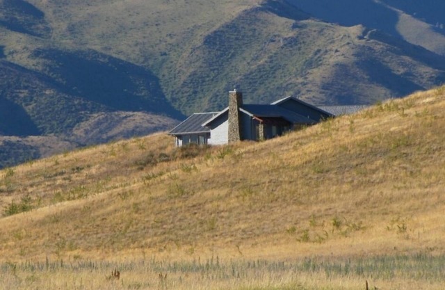 Vineyard and Mountain Views