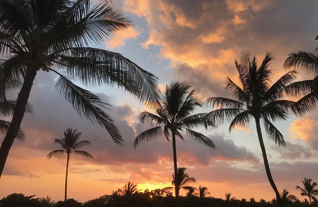 VISTA A201 LUXURY CONDO - OCEAN VIEW - 2 bdrm 2 bath EZ 5 min walk to beach