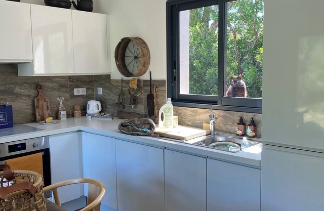 Vrbo Property
