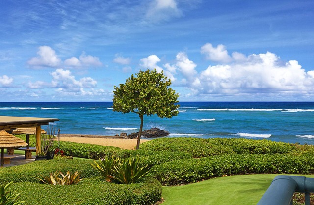Waipouli Beach Resort Exquisite Ocean View Condo with Beach Front View