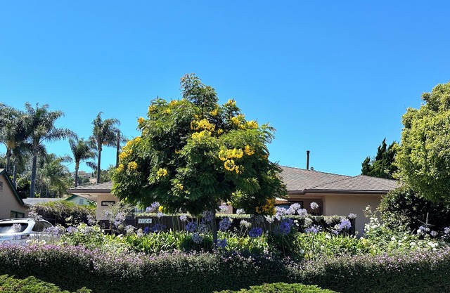 Walk to Beach, Harbor and Shops! Private Pool/Patio